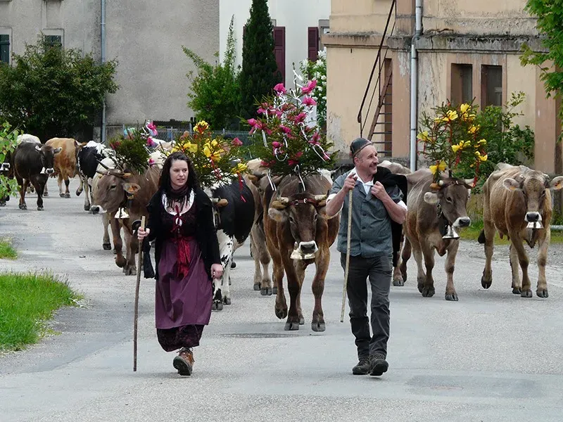 marche ferme