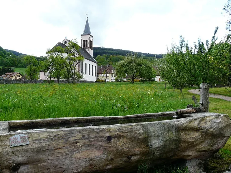 marche au vert