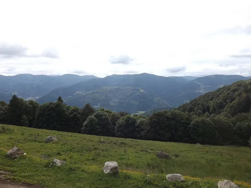 nature