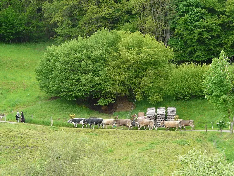 ferme nature