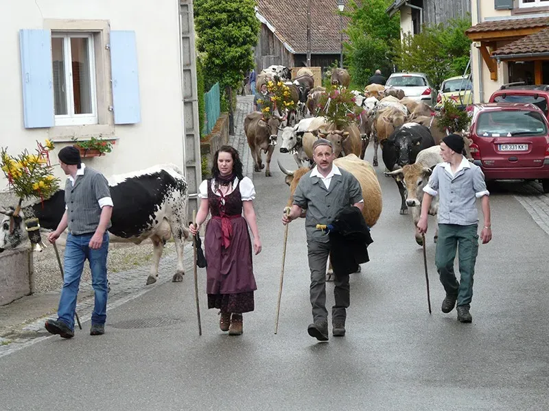 la ferme 
